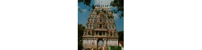 பழுவூர் - மதங்கரி